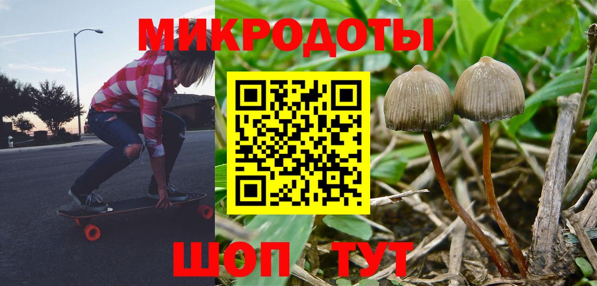 Псилоцибиновые грибы Cubensis  Псилоцибиновые грибы Psilocybe  Богданович  Вход с VPN 